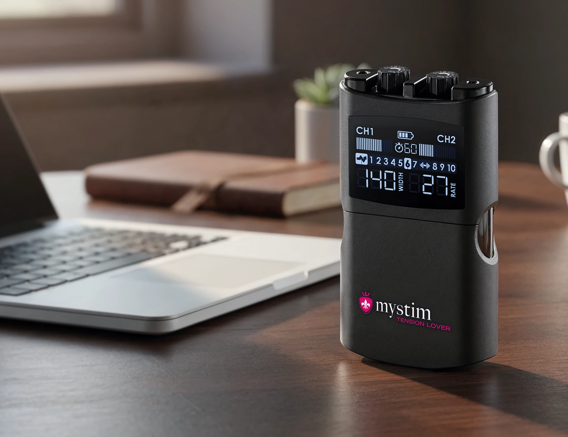 EN Module 3: The Mystim product universe